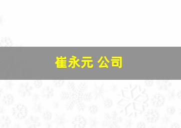 崔永元 公司